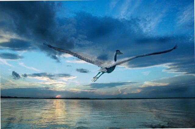 A bird flying over the water at sunset.