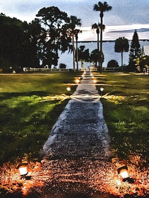 A pathway leading to a lake with palm trees in the background, perfect for photography.