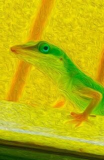 A painting of a green gecko on a yellow background.