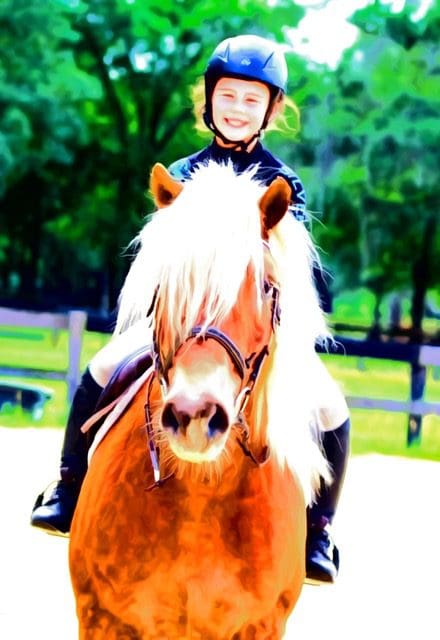 A young girl riding on the back of a horse.